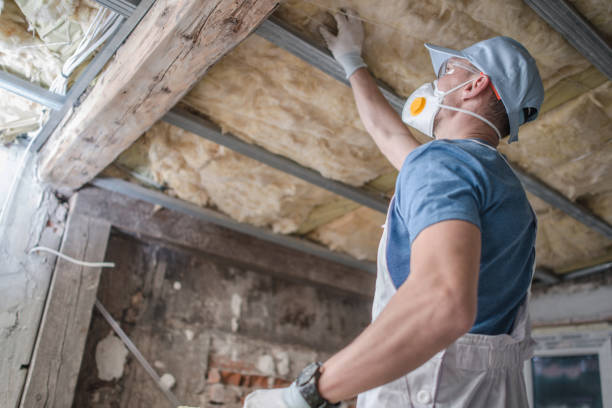 Best Specialized Insulation Services in Weston Mills, NY