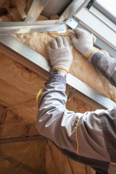 Best Eco-Friendly Insulation in Weston Mills, NY
