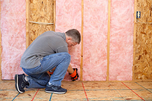 Best Commercial Insulation in Weston Mills, NY