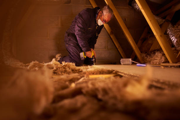Best Geographic-Specific Insulation Services in Weston Mills, NY